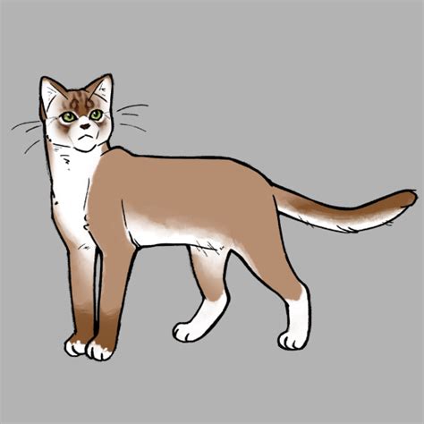 warrior cat creator|warriors cat maker free.